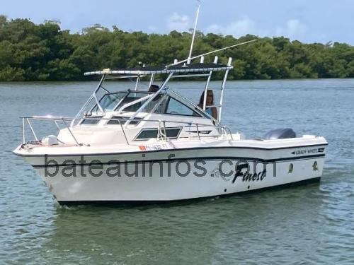 Grady White 240 avis et fiche technique